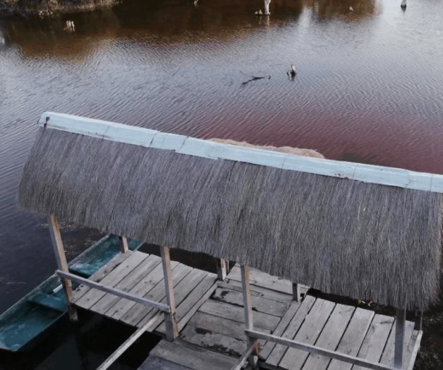 La playa de Sisal y sus manglares, en Yucatán La playa de Sisal y sus manglares, en Yucatán