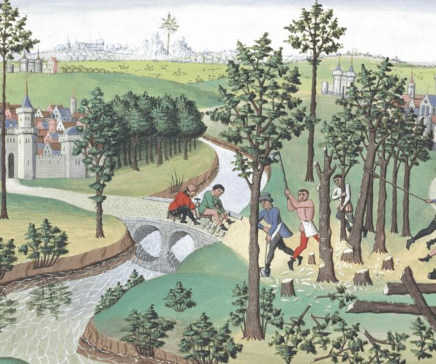 La Edad Media, cuando los árboles dominaban el mundo