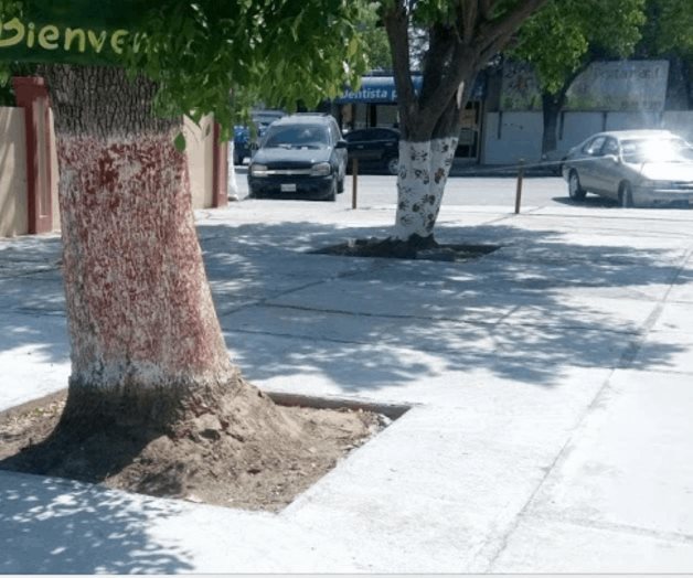 Concluye canícula este fin de semana