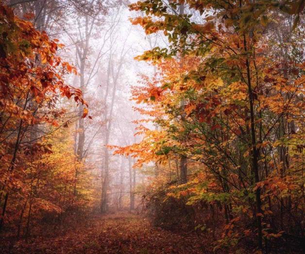 Música clásica para huir del verano