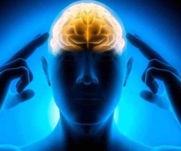 Neuronas artificiales, capaces de integrarse y funcionar Neuronas artificiales, capaces de integrarse y funcionar