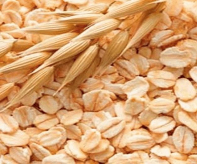 Descubre qué le pasa al cuerpo si se come avena todos los días