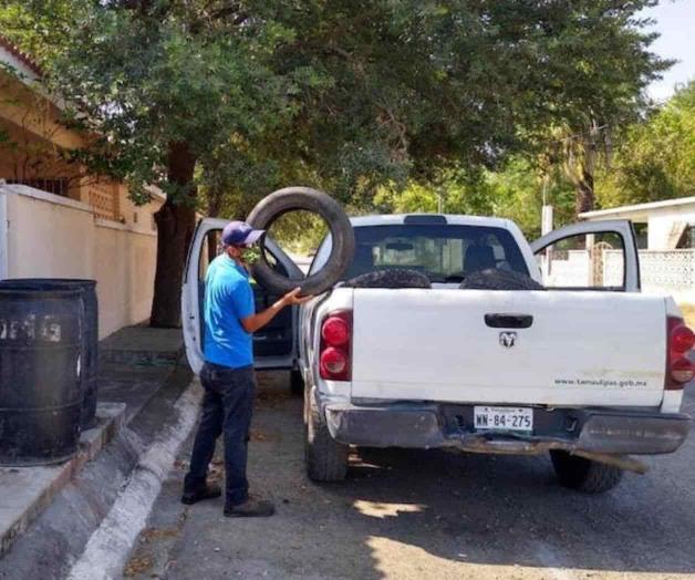 Refuerzan tareas sobre fumigación Refuerzan tareas sobre fumigación