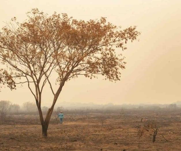 Enorme incendio arde en la zona de Pantanal en Brasil