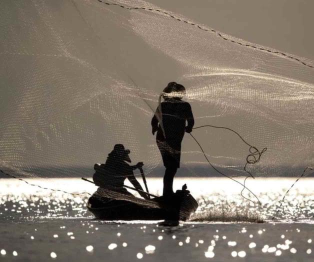 Paraíso amazónico de Brasil sufre por apropiación de tierras