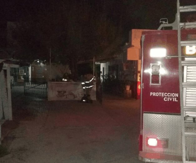 Amenazan abejas a familia