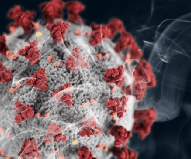 Descubren una molécula que se dirige al ARN del SARS-CoV-2 para destruirlo