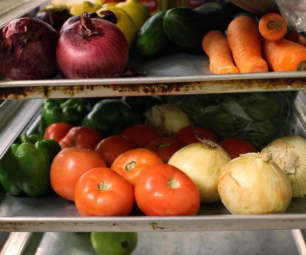 Fortalecen lazos entre los niños y agricultura