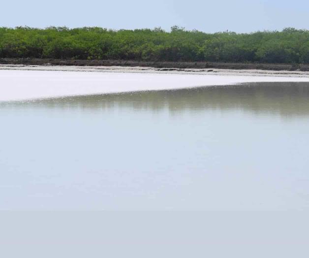 La Sal del Rey, la salina de Reynosa 1749-1848