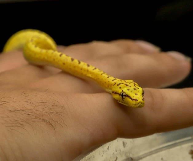 Desafíe haciendo algo bueno