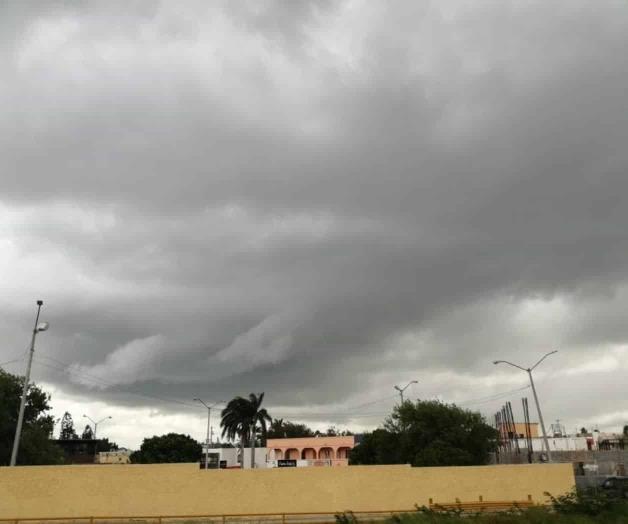 Ingresa Frente Frío 12