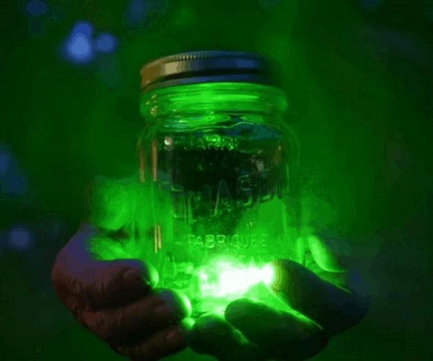 Memoria cuántica: el experimento científico que logró atrapar y transportar partículas de luz