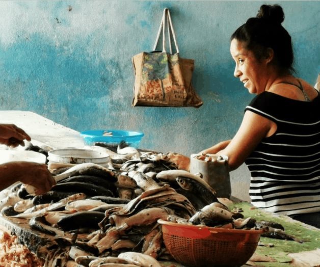 Aprovechan la hueva de lisa Aprovechan la hueva de lisa