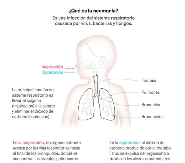 imagen-cuerpo