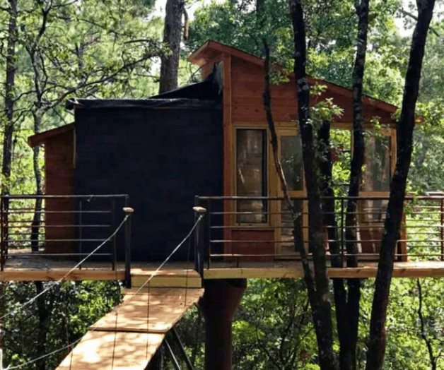Pinochueco: cabañas suspendidas en los árboles de Hidalgo Pinochueco: cabañas suspendidas en los árboles de Hidalgo