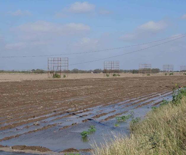 Arrancan obras de drenaje parcelario en Fofaet