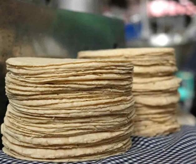 No aumentará el precio de la tortilla en enero: AMLO