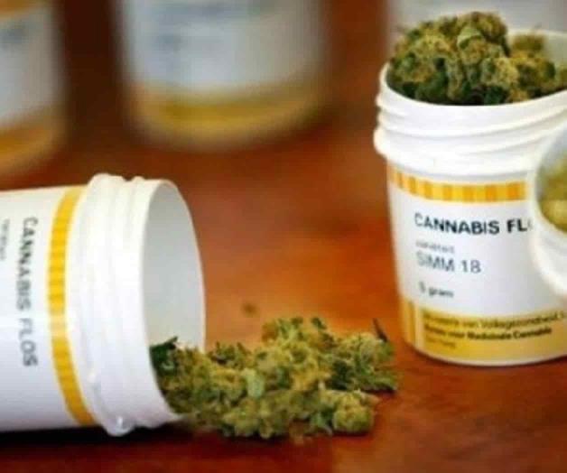 Entra en vigor uso medicinal de la marihuana Entra en vigor uso medicinal de la marihuana