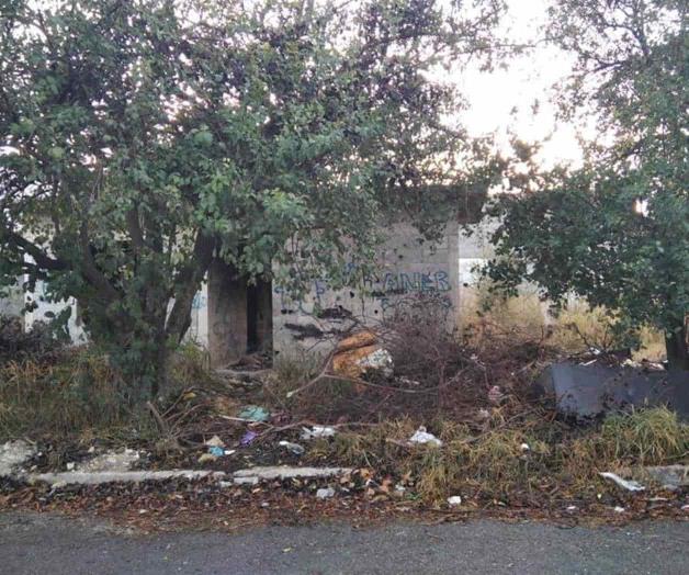 Piden denunciar lotes baldíos y enmontados en Victoria