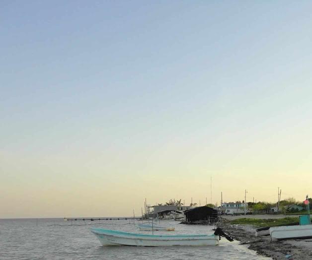 Inicia veda de lisa, liseta y lebrancha Inicia veda de lisa, liseta y lebrancha