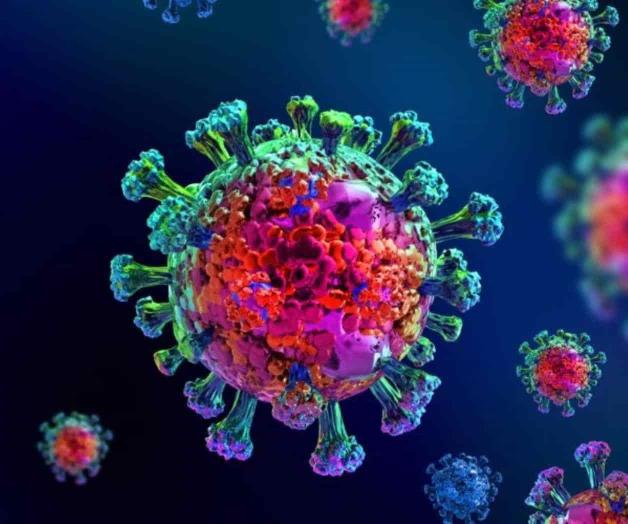 Indagan mutación mexicana del virus Indagan mutación mexicana del virus