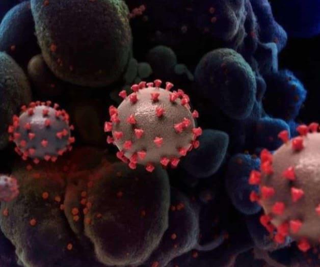 Descubren mutación, 50% más contagiosa Descubren mutación, 50% más contagiosa