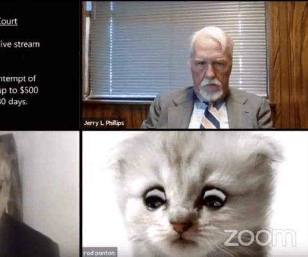 ¿Abogato? Abogado asiste a juicio en Zoom con filtro de gato