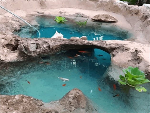 Viral: familia yucateca crea minicenote en el patio de su casa