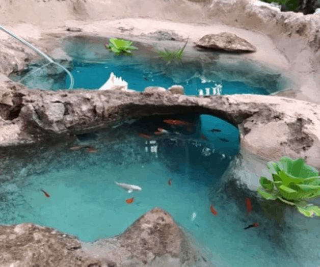 Viral: familia yucateca crea minicenote en el patio de su casa