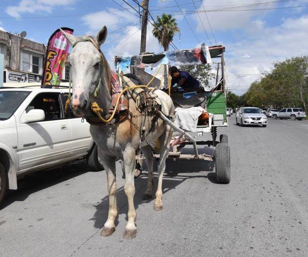 Reforzarán operativos contra los carretoneros
