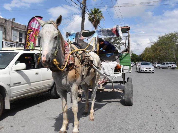 Reforzarán operativos contra los carretoneros Reforzarán operativos contra los carretoneros