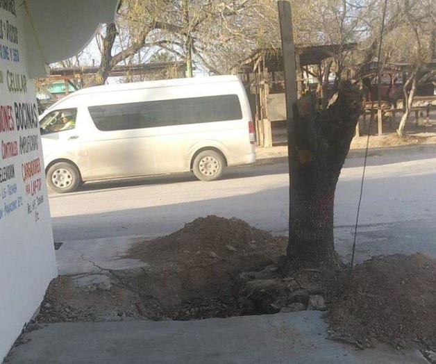 Rompen acera y dejan hueco para cortar árbol