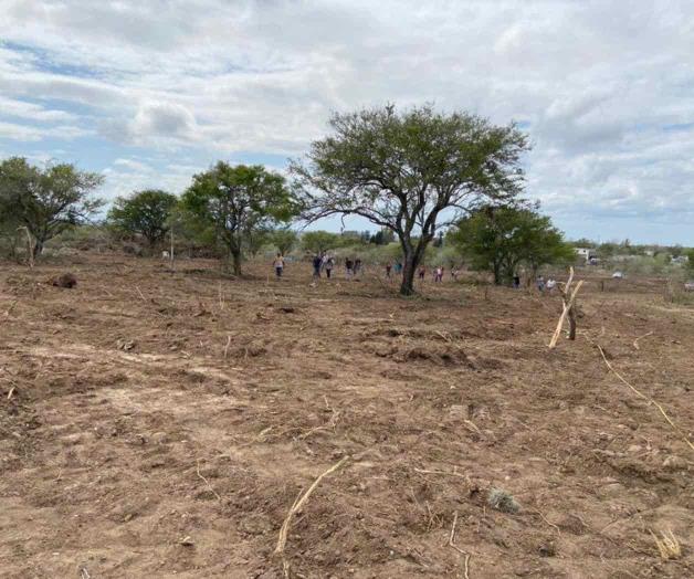Darán en arrendamiento terrenos urbanos a 30 familias Darán en arrendamiento terrenos urbanos a 30 familias