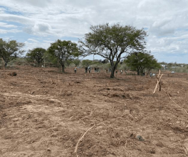 Entregarán lotes a familias Entregarán lotes a familias