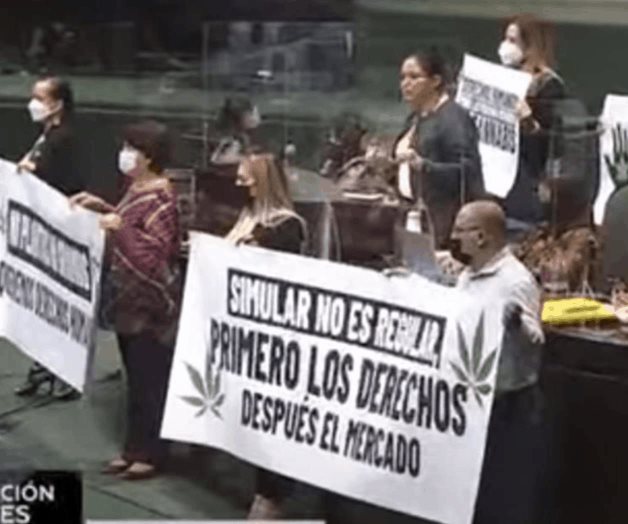 Aprueban diputados en lo general ley para cannabis