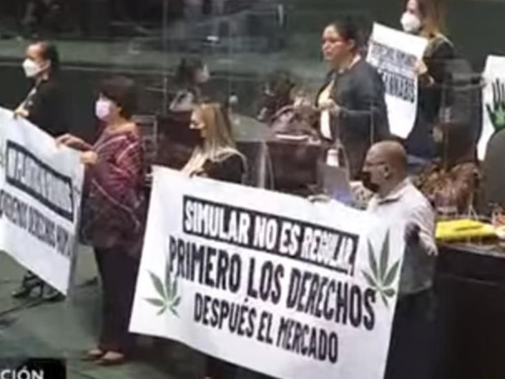 Aprueban diputados en lo general ley para cannabis Aprueban diputados en lo general ley para cannabis