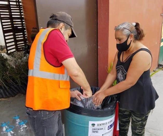 Cambian plásticos de desecho por arbolitos para reforestar