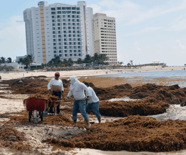 No hay sargazo en las playas de Quintana Roo, dice AMLO No hay sargazo en las playas de Quintana Roo, dice AMLO