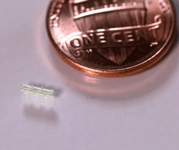 Buscan tratar tumores cerebrales con microrrobots Buscan tratar tumores cerebrales con microrrobots