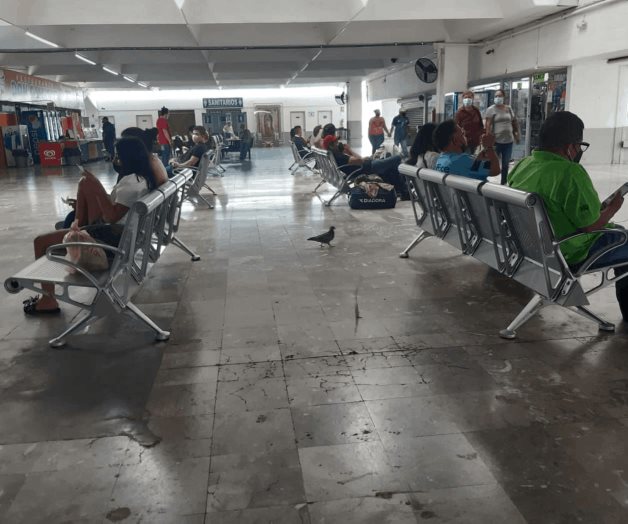 Trae esperanza Semana Santa