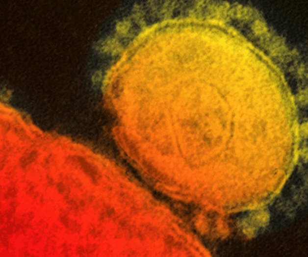 Expertos revelan todo lo que se sabe acerca de la nueva mutación doble del SARS-CoV-2 Expertos revelan todo lo que se sabe acerca de la nueva mutación doble del SARS-CoV-2