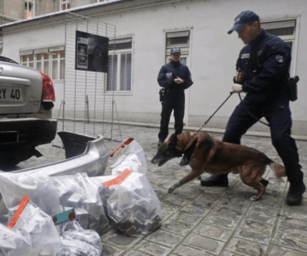 Francia lanza experimento de 2 años con marihuana medicinal Francia lanza experimento de 2 años con marihuana medicinal