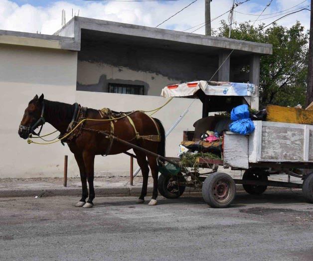 Todavía hay carretoneros 