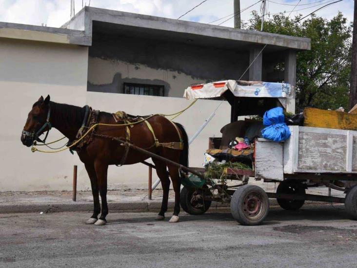 Todavía hay carretoneros Todavía hay carretoneros