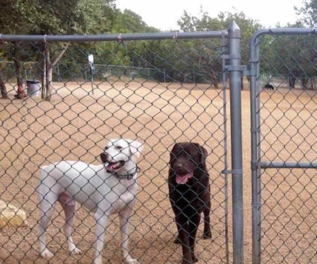 Inauguran espacio canino en Edinburg
