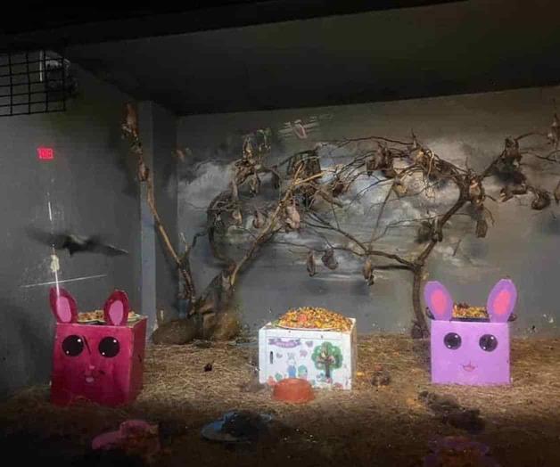 Un domingo de resurrección en Zoológico de Brownsville