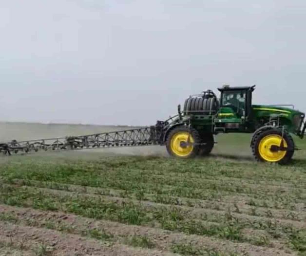 Utilizan alternativa a Glifosato para cortar malezas en cultivos