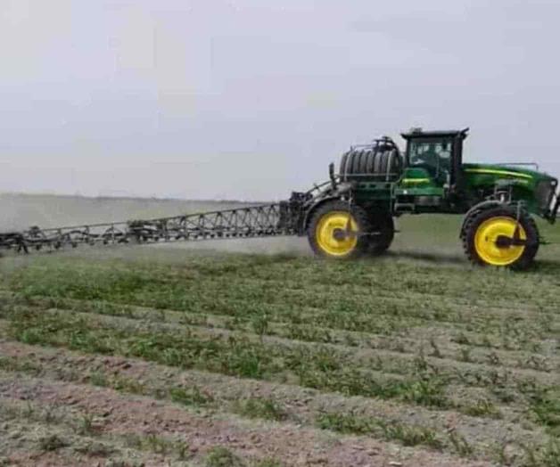 Sustituyen herbicidas Sustituyen herbicidas