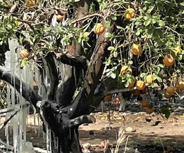 Revelarán el impacto de tormenta invernal