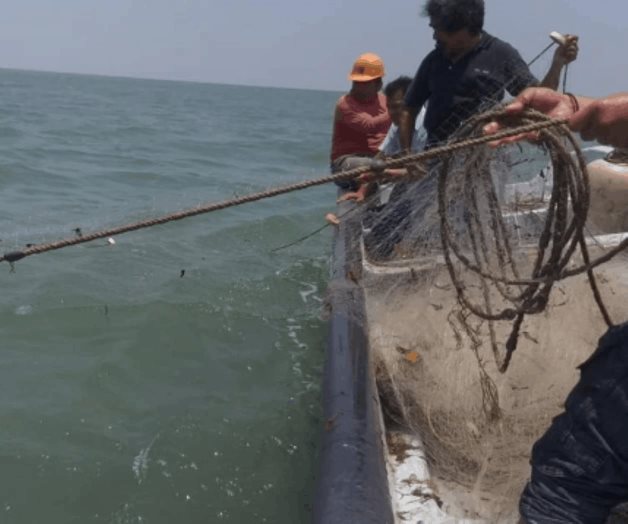 Buscan a cuatro pescadores desaparecidos desde el jueves en Altata Buscan a cuatro pescadores desaparecidos desde el jueves en Altata